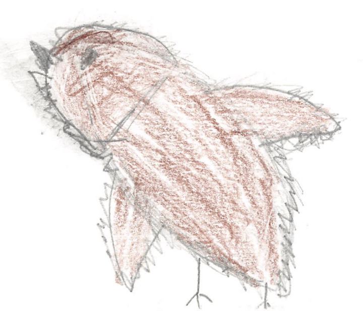 A fuzzy drawn by a kid at a Brave Fuzzy book talk